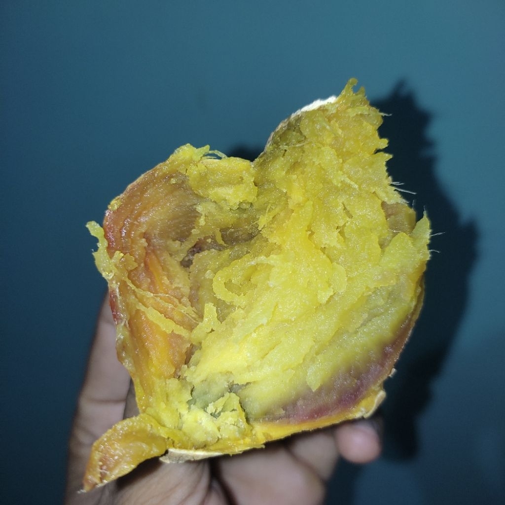 

Ubi madu cilembu spek market paket jualan 20kg