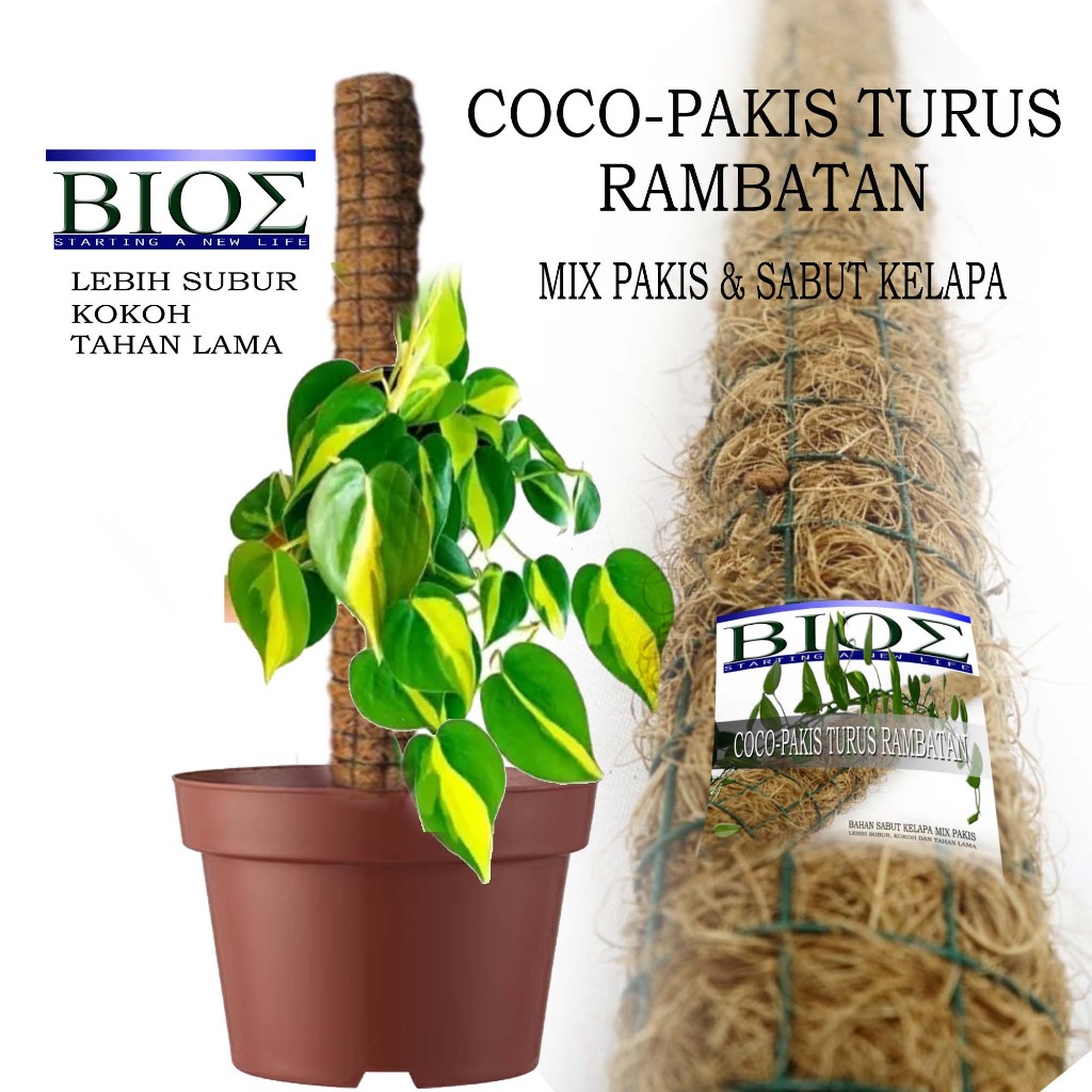 Coco-Pakis Turus Rambatan Mix Pakis & Sabut Kelapa ukuran 45cm dan 90cm tiang rambat tanaman RS465