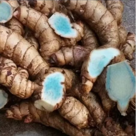 

kunyit hitam/temu hitam segar kemasan 1kg