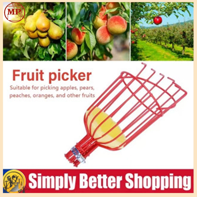 Ready Alat Pemetik Buah Metal Fruit Picker / Alat Pemetik Buah