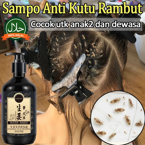 Shampo Kutu Rambut Anak dan Dewasa shampoo anti ketombe dan rontok 300ml Shampo tanaman alami untuk 