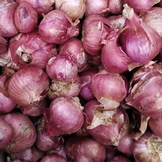 

Bawang Merah Segar Bumbu Dapur Harian – 250gr / 500gr / 1kg