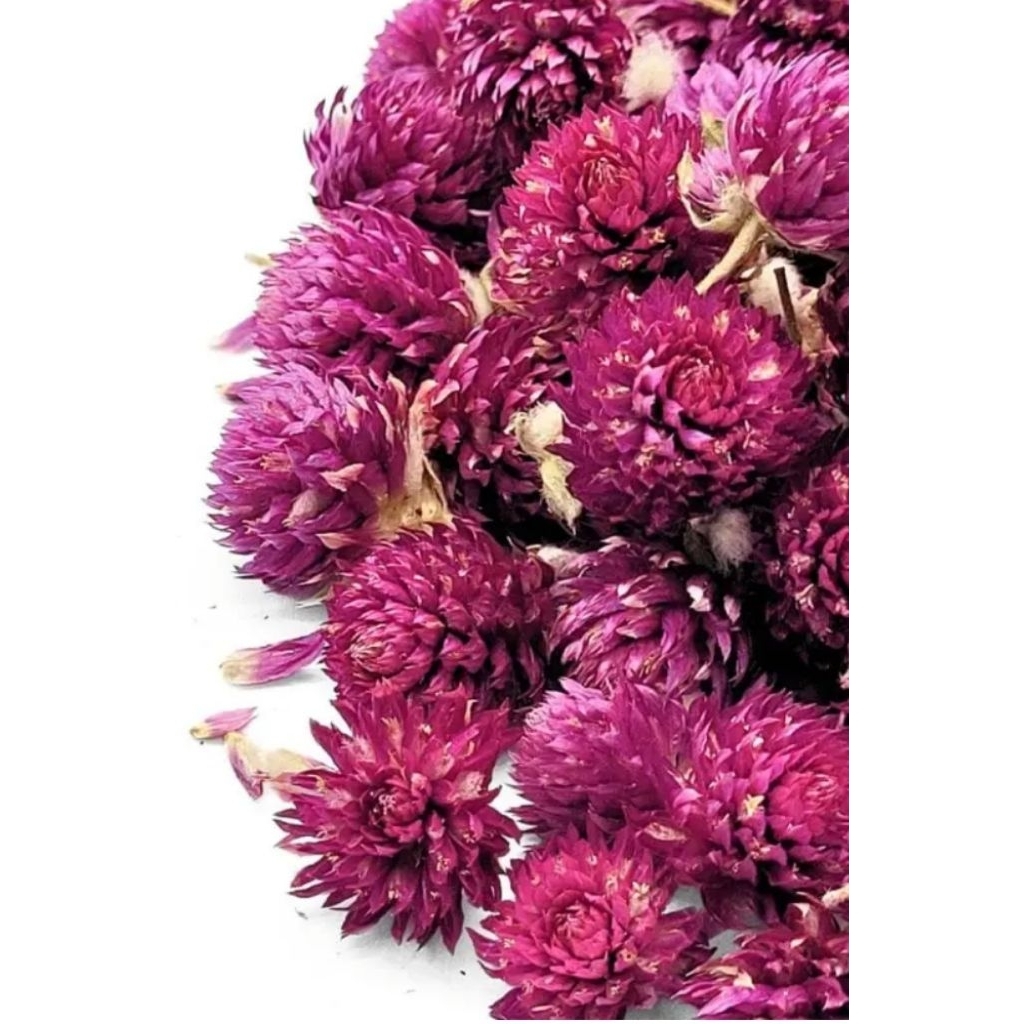

Globe Amaranth Kering 250gram Teh Bunga Globe