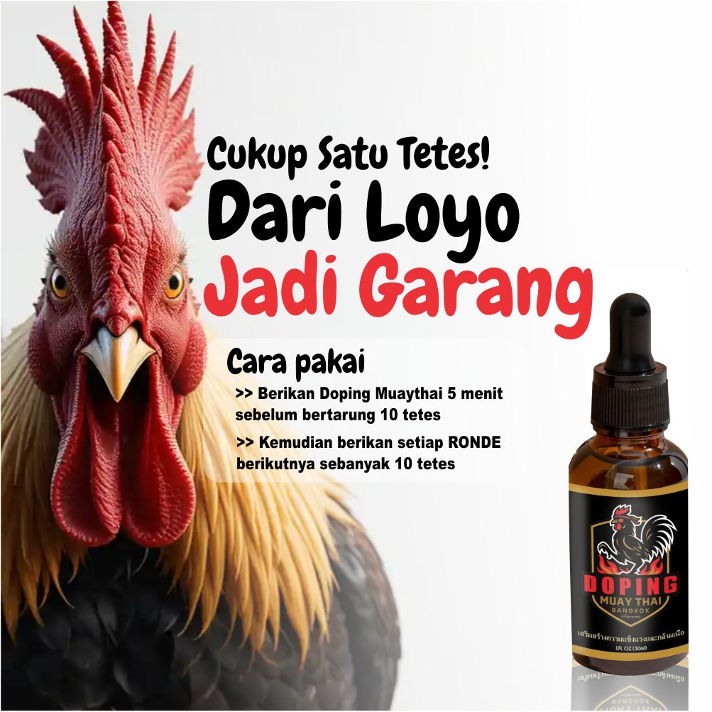 Vitamin Ayam Aduan & Doping Ganas Asli Thailand – Muay Thai Bangkok