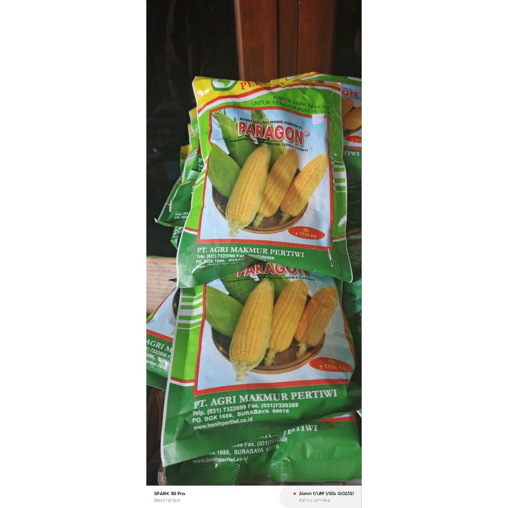 

Jagung Manis Hibrida Paragon