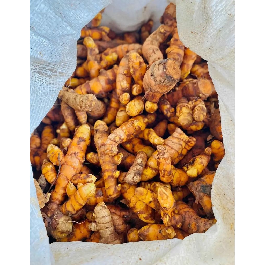 

1kg Kunyit Kunir Kuning Fresh Dan Segar