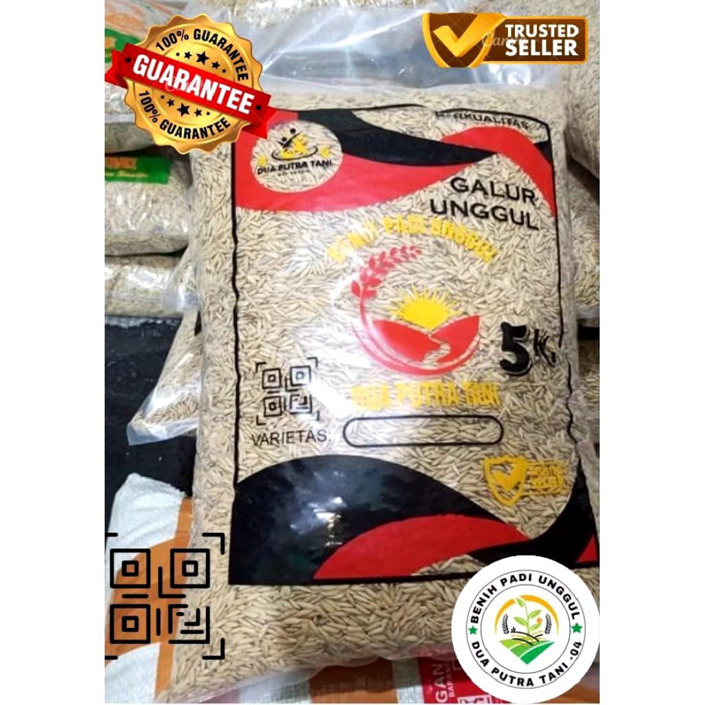 BENIH PADI INPARI 32 JUMBO KEMASAN 5KG BENIH PADI UNGGUL