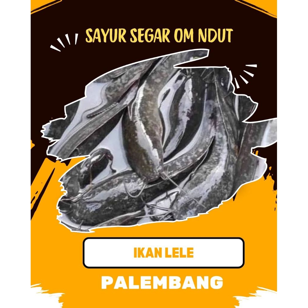

IKAN LELE - INSTAN PALEMBANG