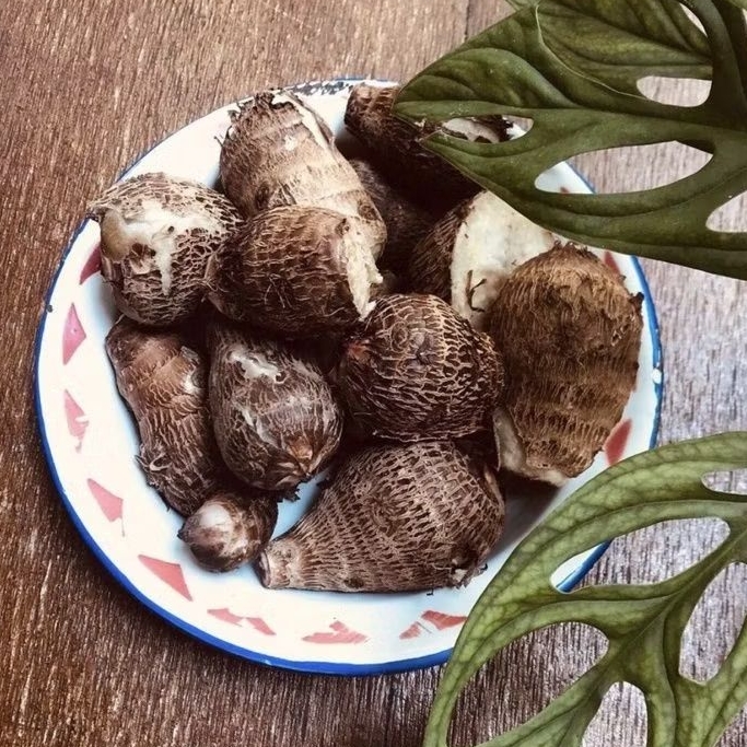 

TERMURAH Umbi Talas Kimpul Segar 500gram