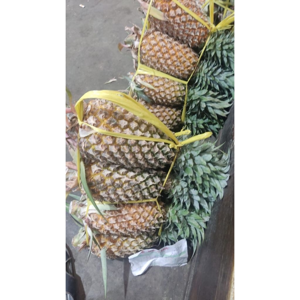 

nanas madu palembang