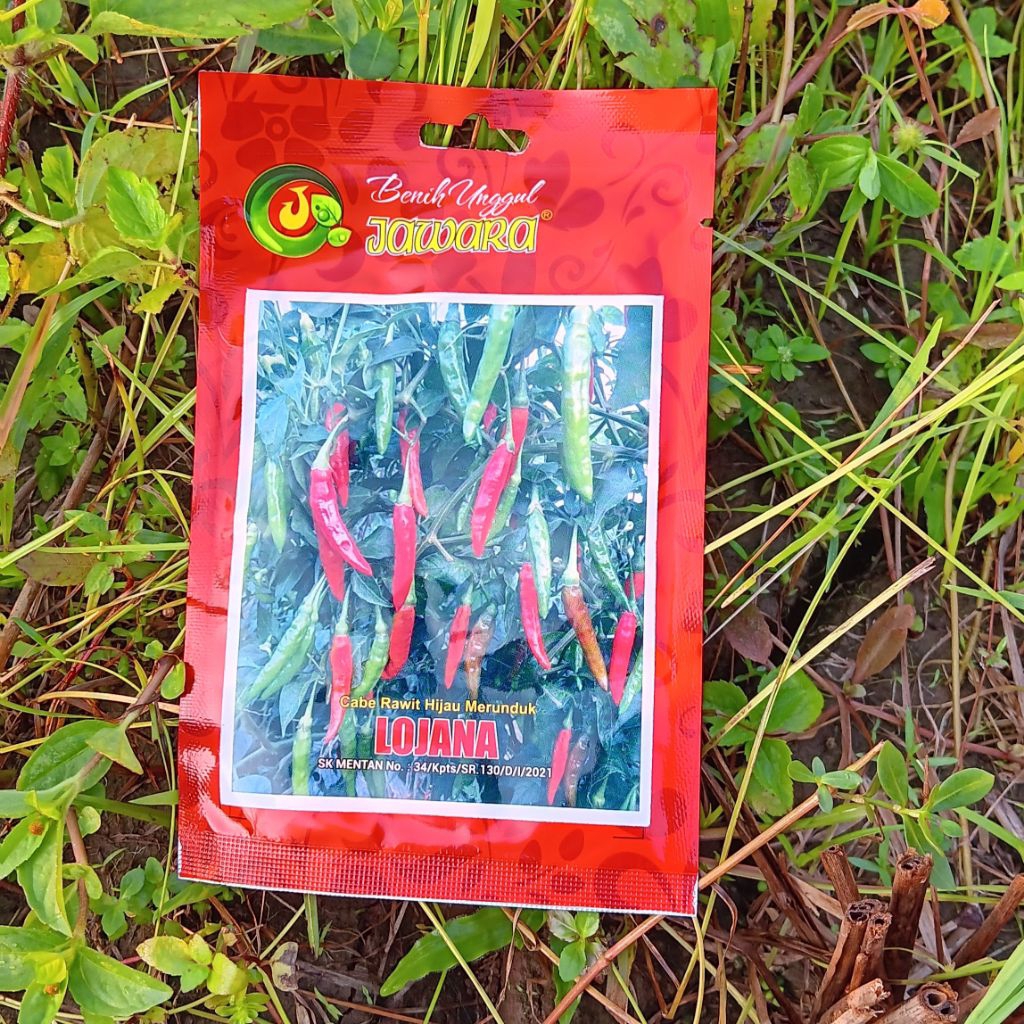 Bibit Cabe Rawit Hijau LOJANA Jawara 10 Gram