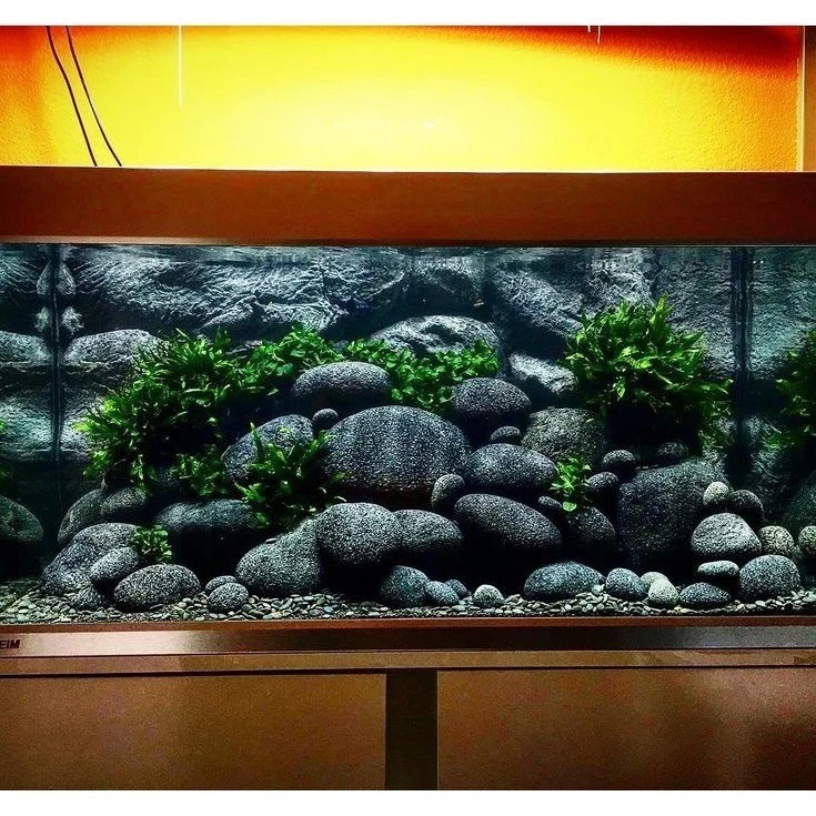 Hiasan Alami Kolam Batu | Hias Dekorasi Aquascape | batu hias BONSAI | bATU HIAS TAMAN