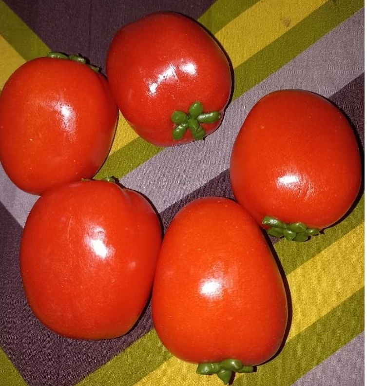 

Replika buah Tomat apel (1pcs) /cocok untuk pajangan toko / mainan anak / edukasi / dekorasi meja makan dll
