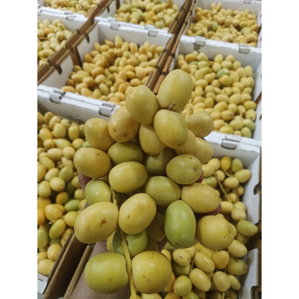 

Kurma muda (250 gr, 500gr, 1000gr)