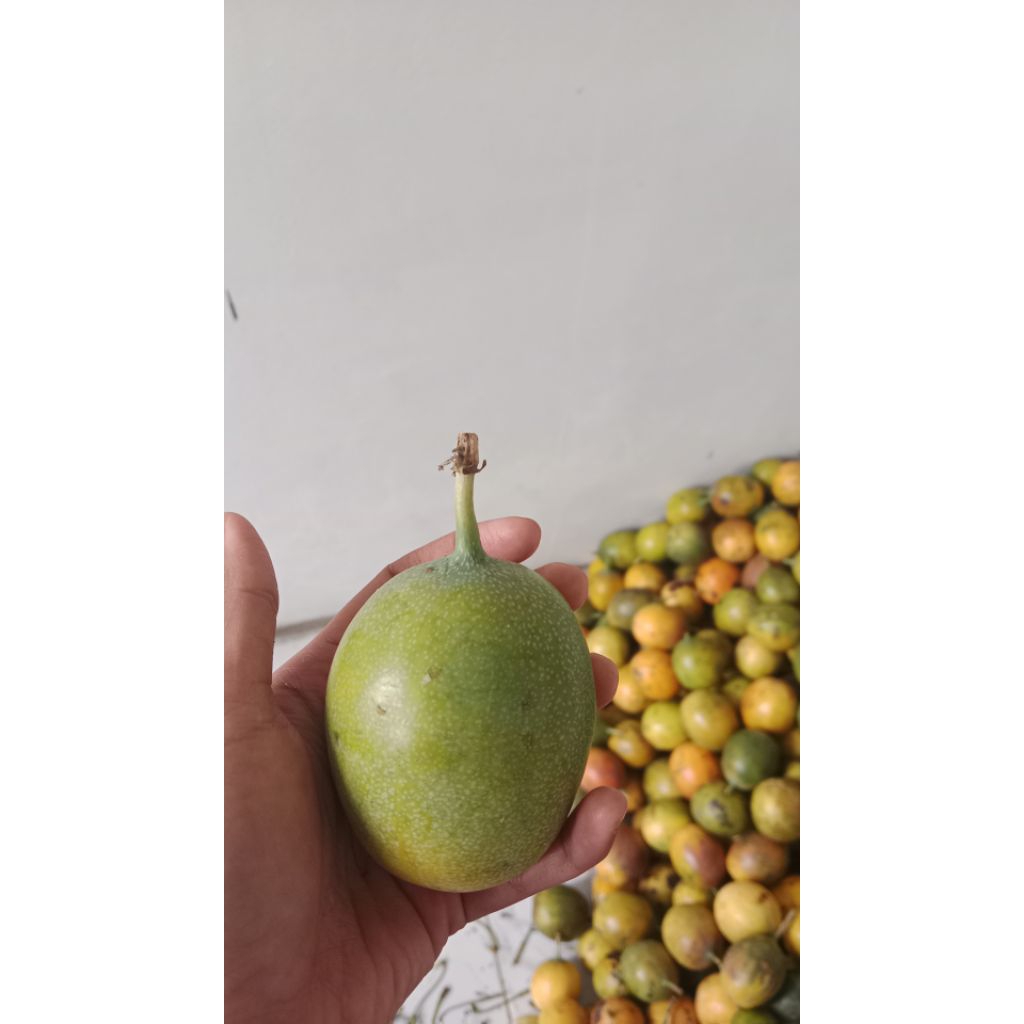 

konyal madu promo 1kg