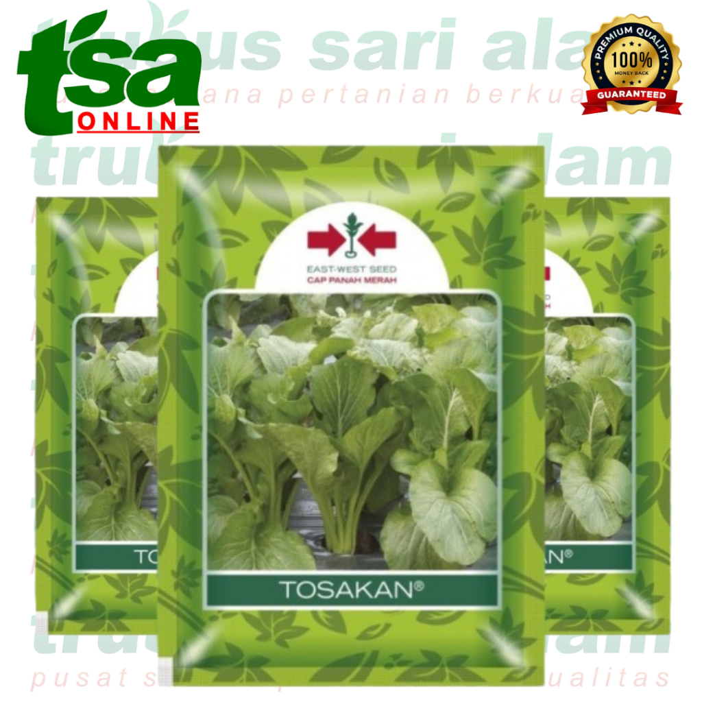 

TOSAKAN (BELI 5 GRATIS 1) HARGA GROSIR 15PCS - Benih Sayur Sayuran Caisim Sawi - Original Cap Panah Merah