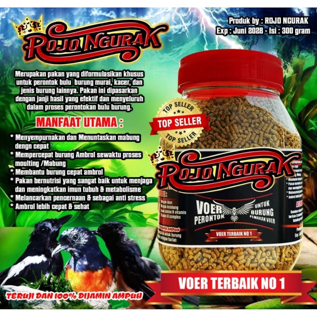 moulting ngurak mabung tuntas rojo ngurak voer perontok bulu untuk semua burung voer raja ngurak Pur