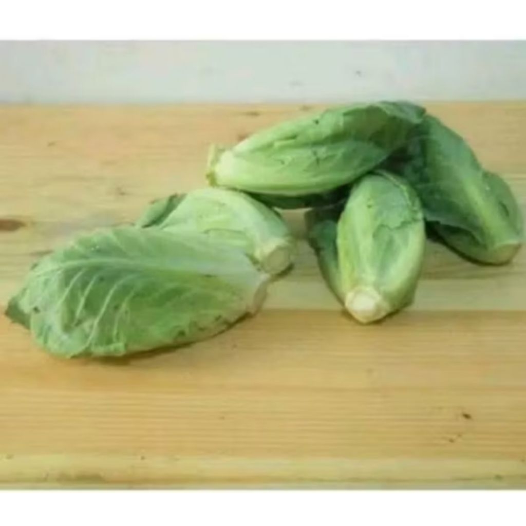 

Sayur ciwis segar dan fresh