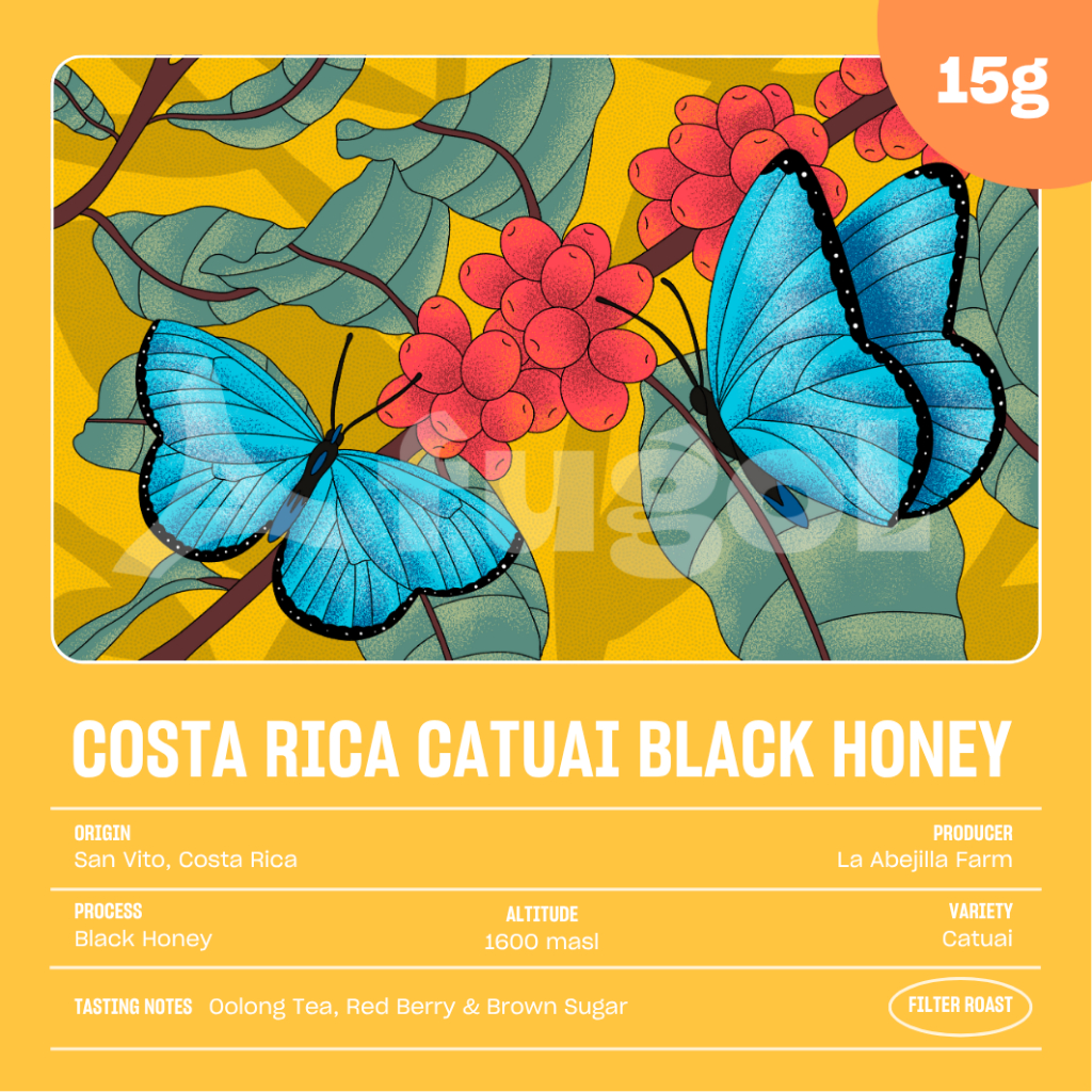 

Biji Kopi Arabika COSTA RICA CATUAI LA ABEJILLA BLACK HONEY (15 gram) Single Origin Specialty Coffee Beans