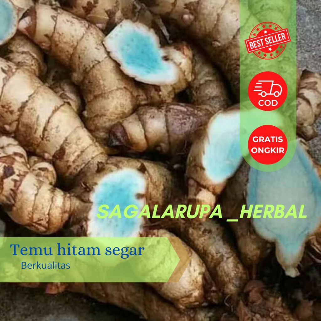 

kunyit hitam/temu ireng asli segar fresh kemasan segar