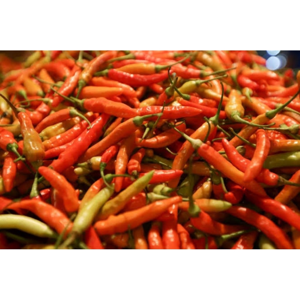

Cabe/Cabai Rawit Merah 250gram