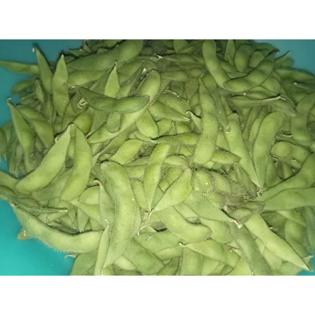 

edamame premium berkualitas unggul