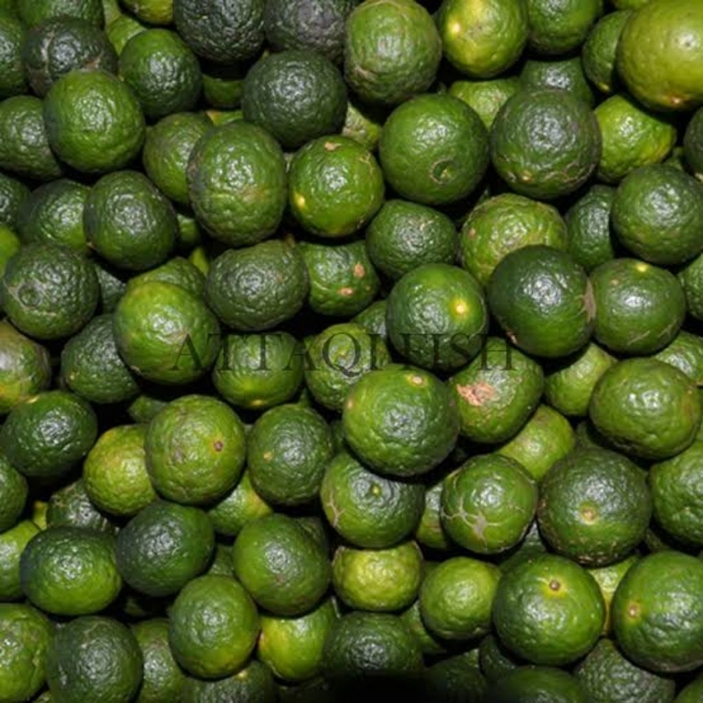 

jeruk limo fresh 1/2 kg