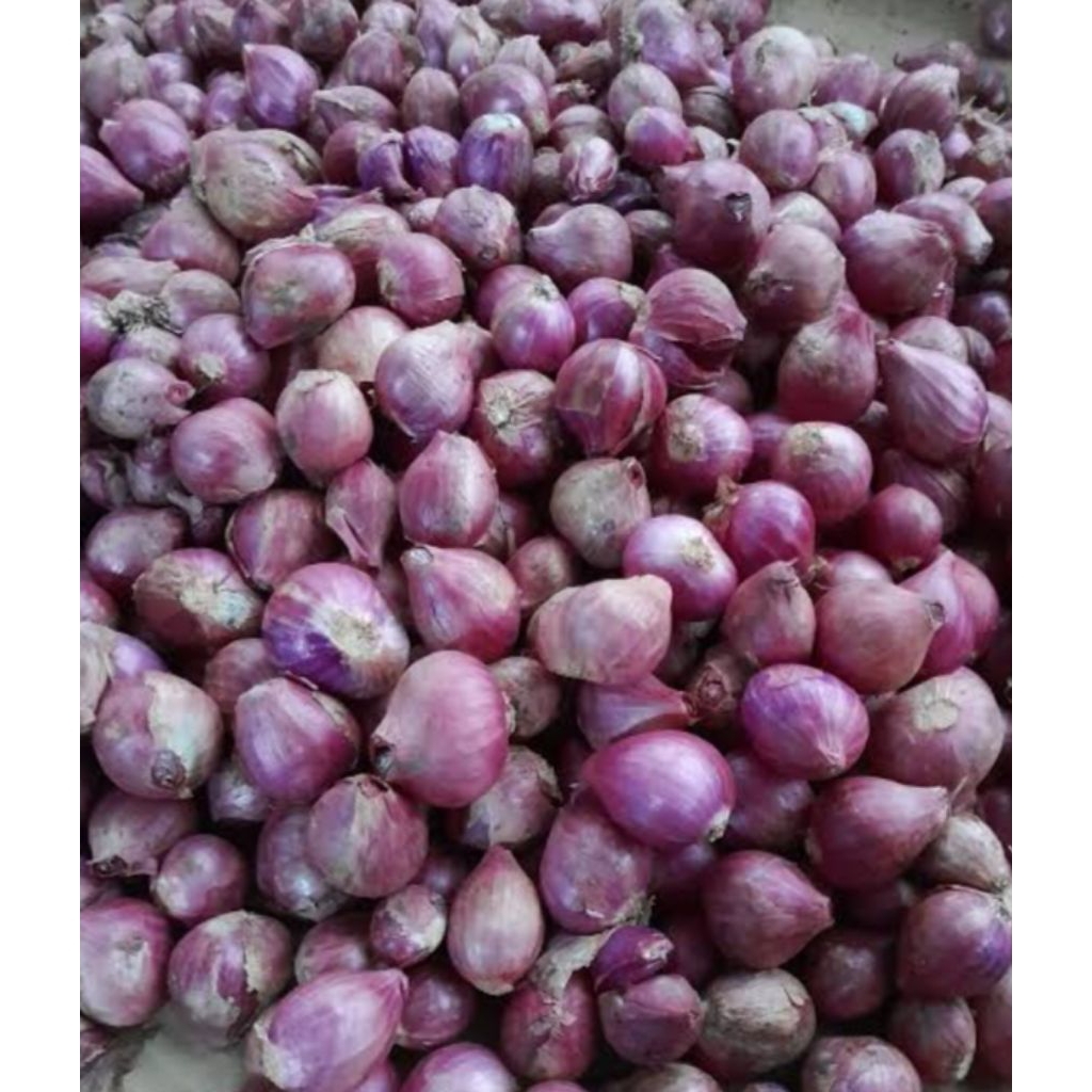 

BAWANG MERAH Probolinggo (Kering) / Fresh/Kualitas Terjamin