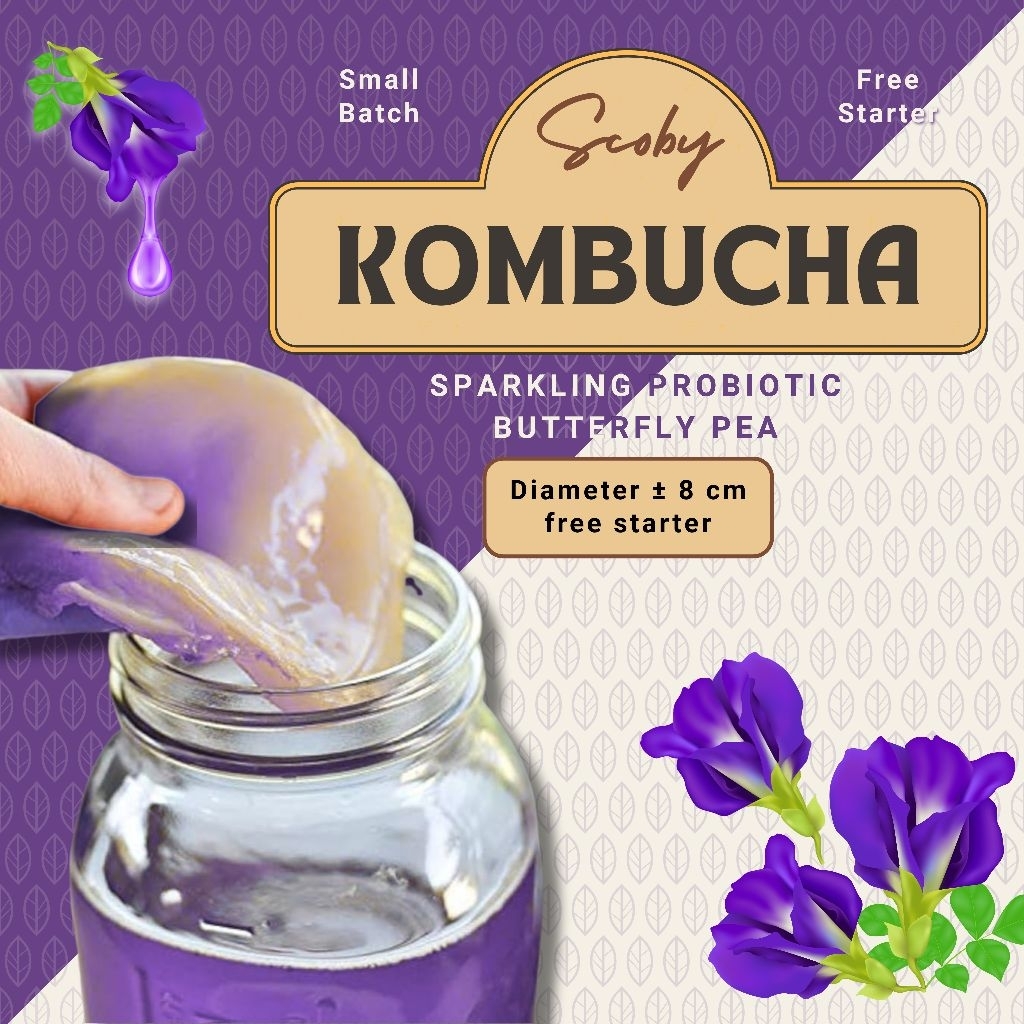 

Bibit SCOBY Kombucha Bunga Telang (Butterfly Pea) | SCOBY Aktif + FREE Starter Kombucha ±100ml | Minuman Probiotik Sehat