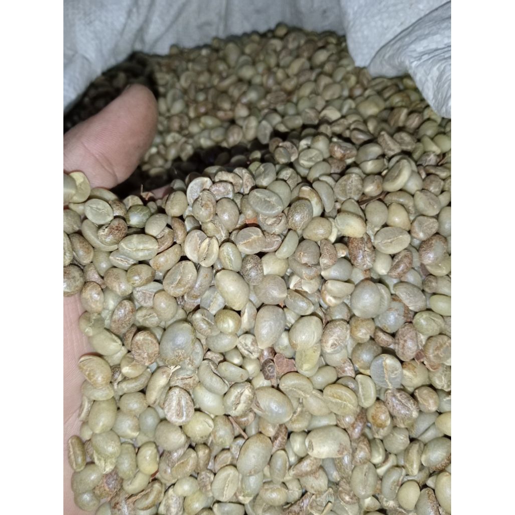 

Gren beand biji kopi robusta wonosalam harga di atas untuk berat 1kg