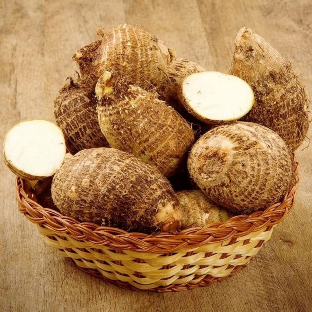 

Talas Biasa Fresh Murah 1 Kg