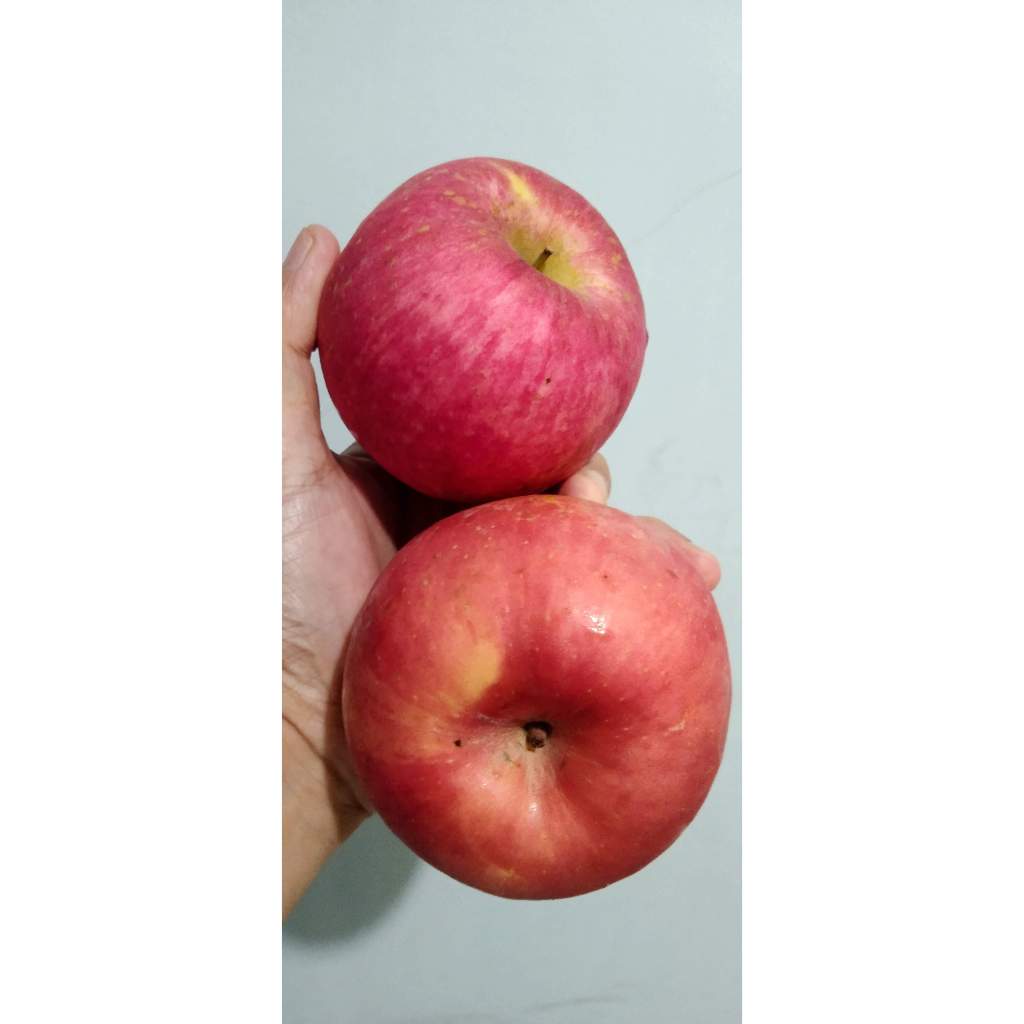 

Apel Fuji Blush Buah Import Segar Pilihan