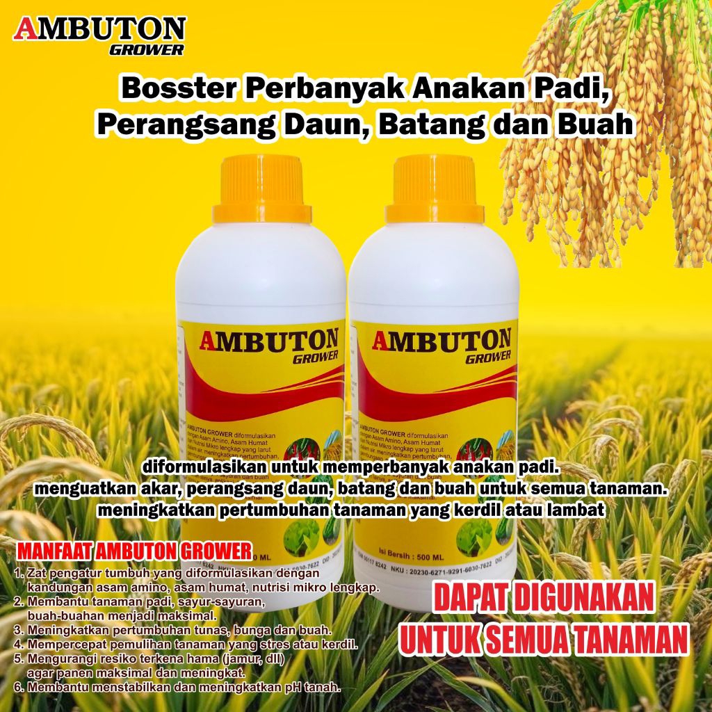 Ambuton Pupuk daun cair + ZPT, Perbanyak anakan padi dan perbesar batang dan buah 500ML