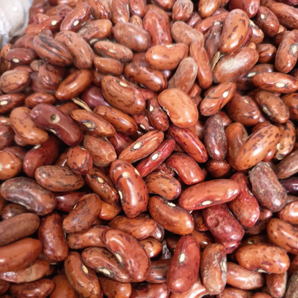 

KACANG MERAH