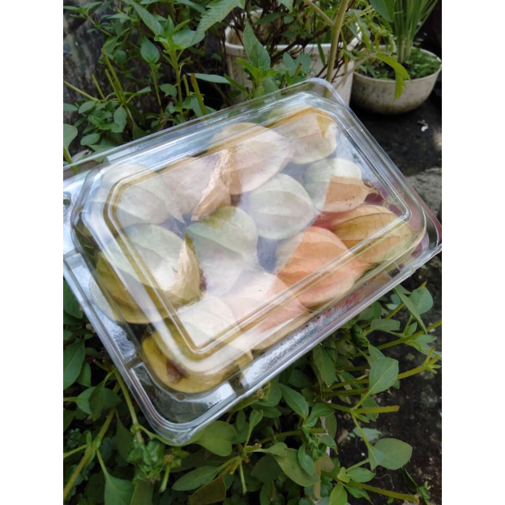 

BUAH CIPLUKAN/Cecendet isi 1 ons langsung dari kebun CIWIDEY BANDUNG