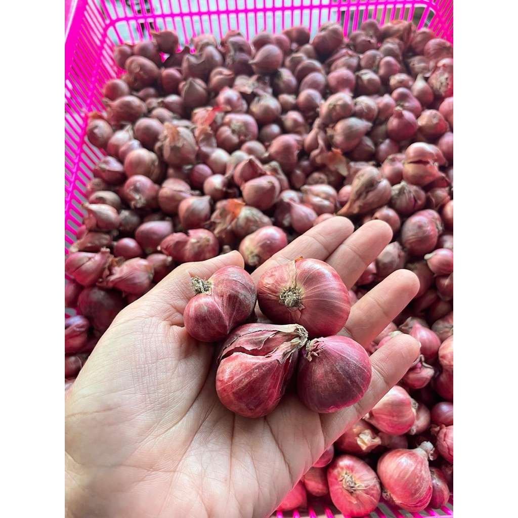 

Bawang merah super 500gr, 1kg