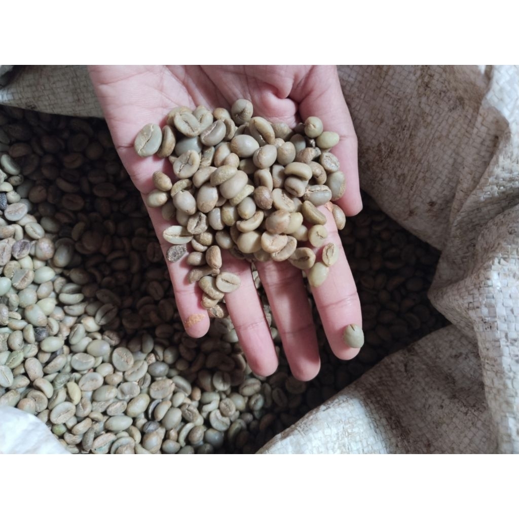 

Kopi Robusta Pilihan 1kg Original / Biji Kopi Mentah || Kopi Khas Madura