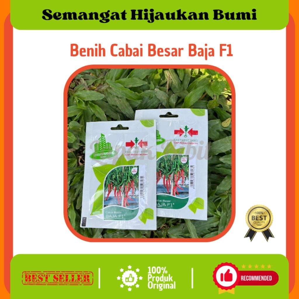 Benih Cabai Besar Baja F1 Cap Panah Merah