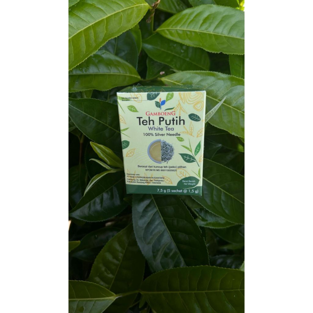 

White Tea Gamboeng 7,5 Gram Box