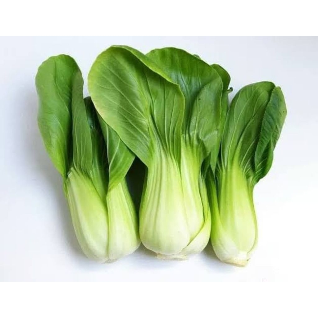 

sayur pakcoy 500gr 1kg