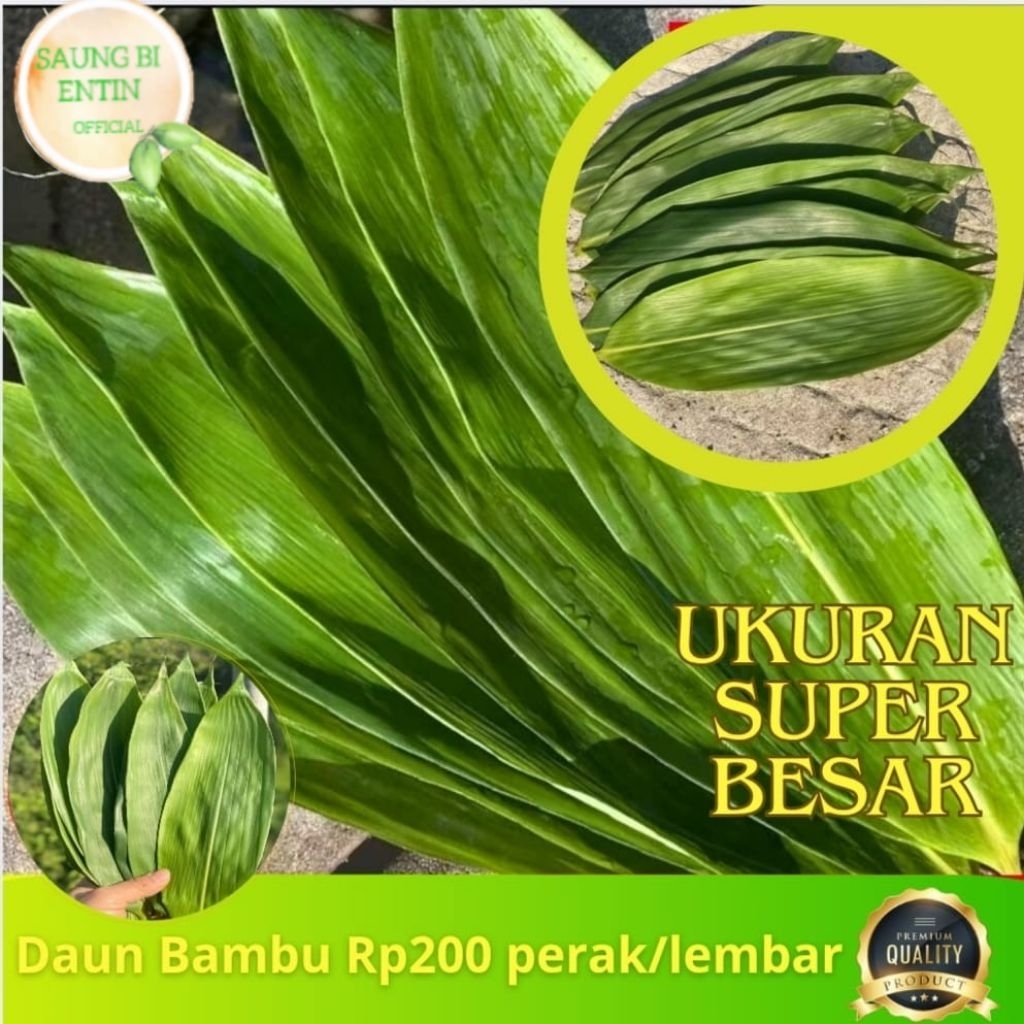 

Daun bambu segar super - daun bambu backang organik 100 lembar ya guys