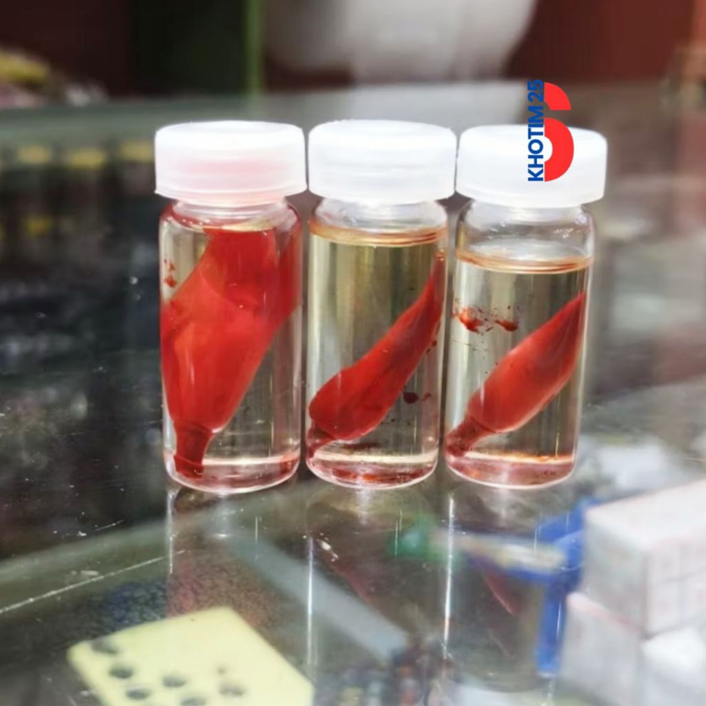 Parfume kelopak bunga merah / minyak KANTHIL merah