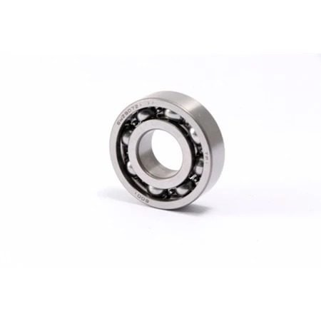 #5130 BEARING #6001 DAYTONA ANIMA