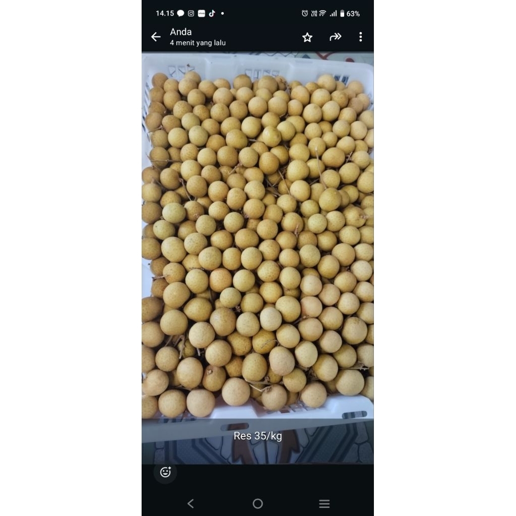 

Buah Klengkeng jumbo manis