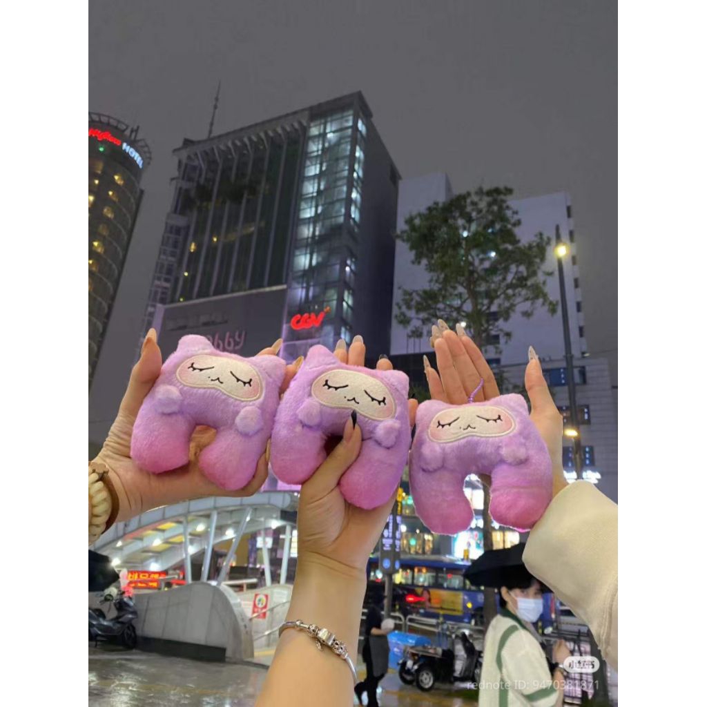 Custom Passport Merch Kkuru & Album Baekhyun