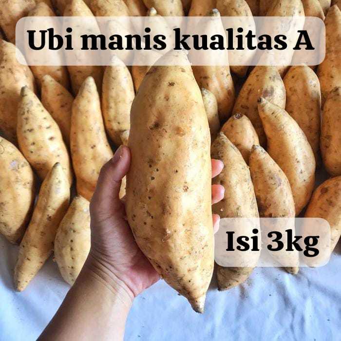 

TERMURAH UBI 3KG ubi jalar kuning mentah manis grib A makanan pendamping diet