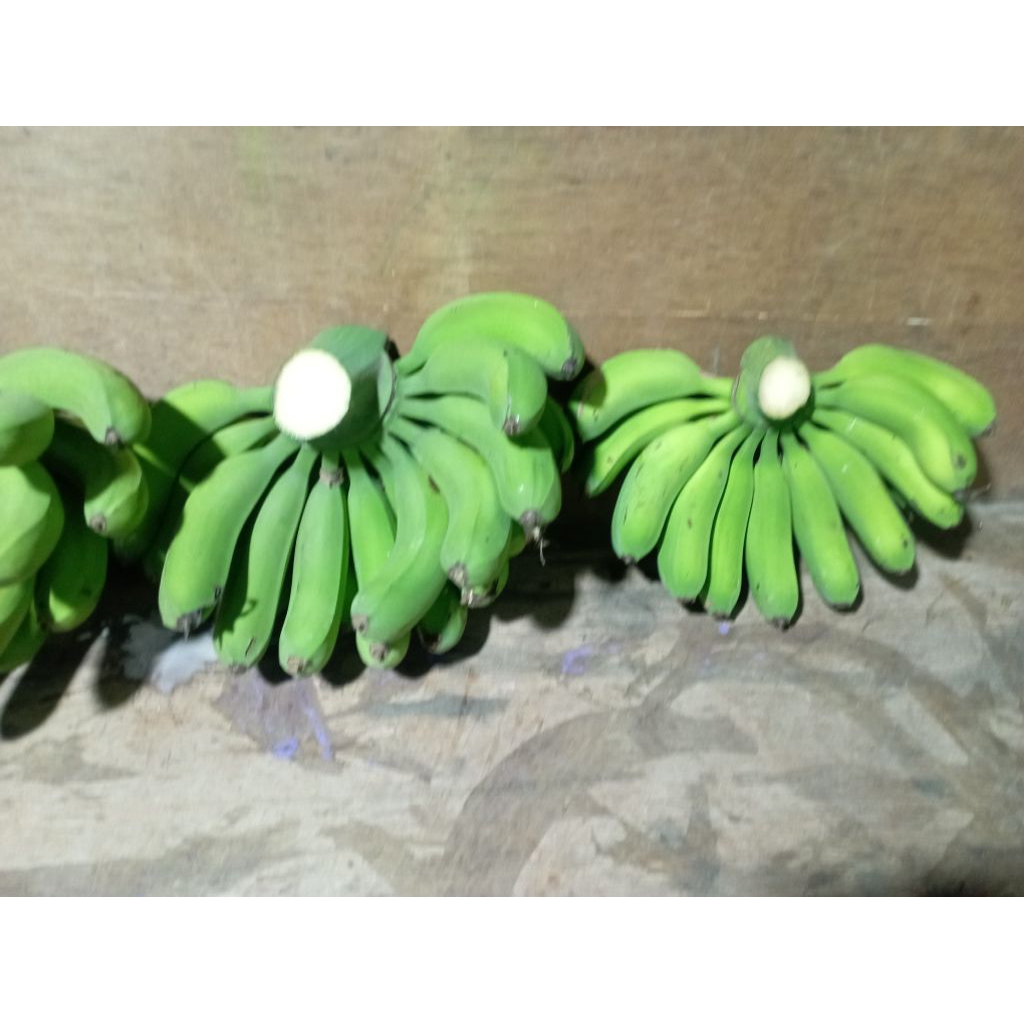 

buah pisang raja Medan super per sikat