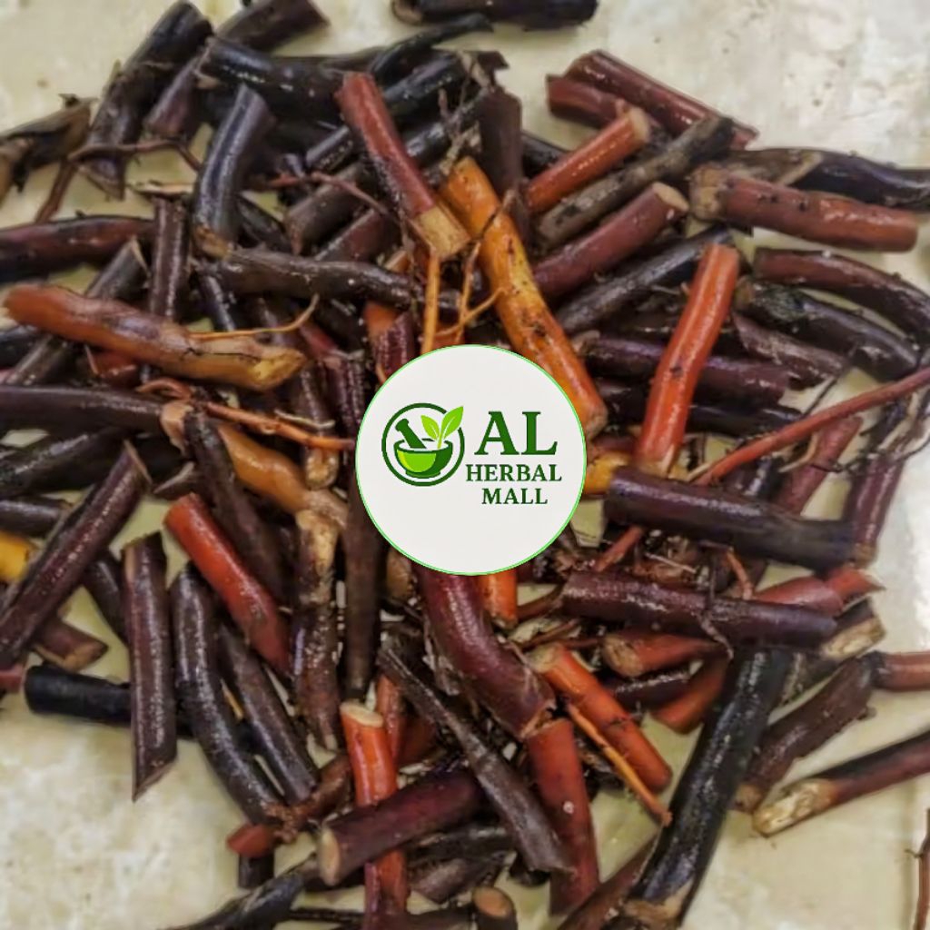 

Akar Kelapa Frest Segar 500 Gram Organik