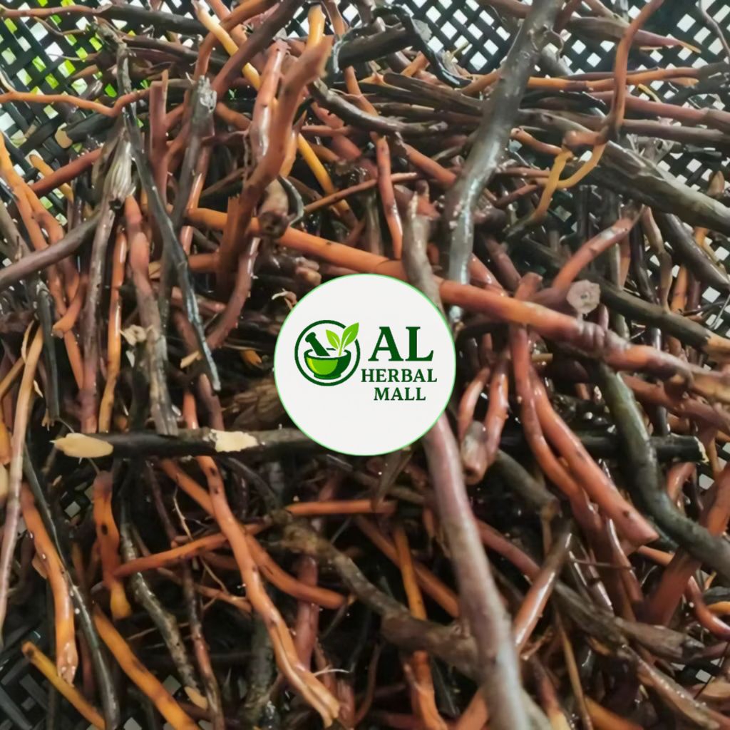 

Akar Pohon Aren Segar 500 Gram Ready