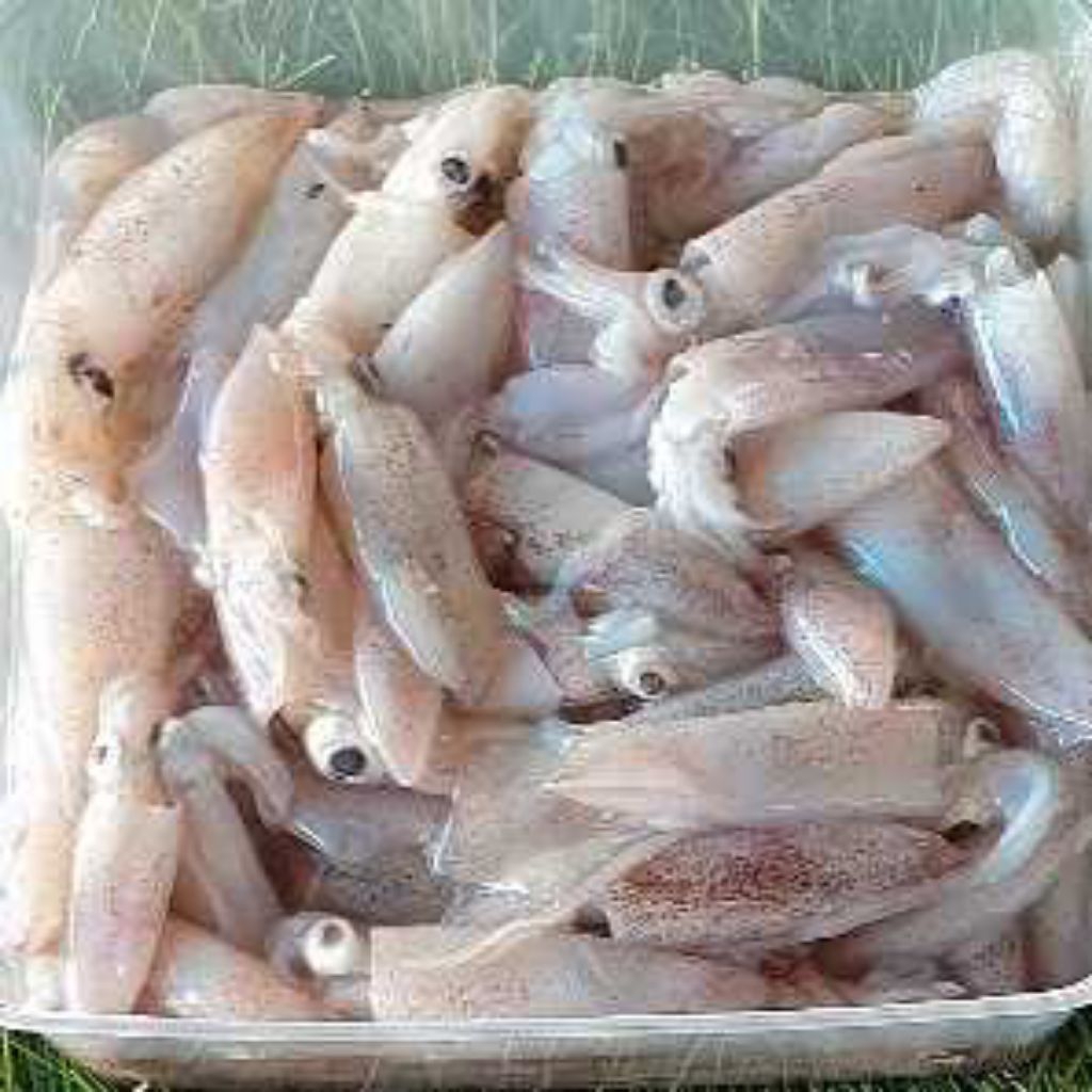 

CUMI SERO BABY 500 GRAM